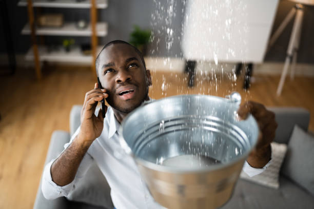 Best Mold removal after water damage  in Laie, HI