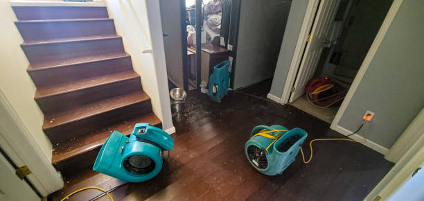 Best Professional water damage repair  in Laie, HI