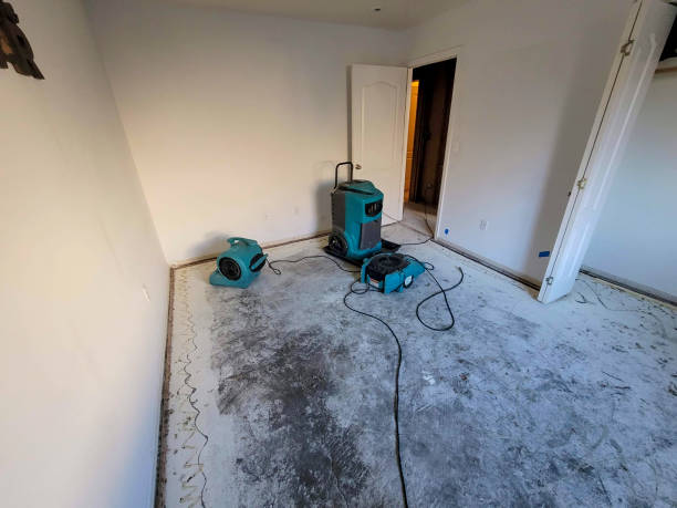 Best Fire Damage Restoration  in Laie, HI