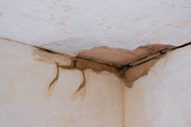 Best Water damage cleanup near me  in Laie, HI