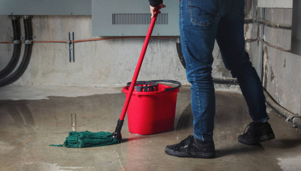 Best Water damage contractors near me  in Laie, HI