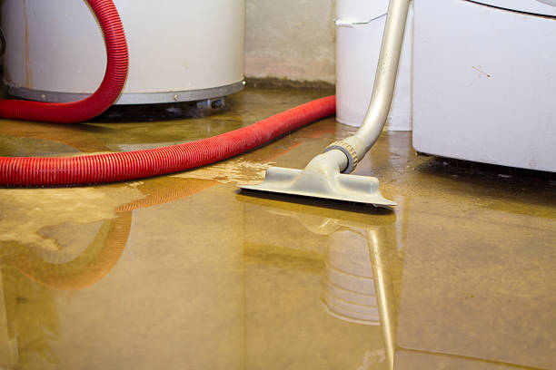Best Fire Damage Restoration  in Laie, HI