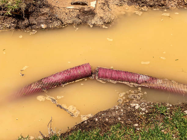 Best Flood restoration services  in Laie, HI
