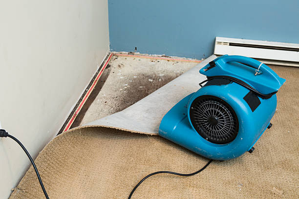 Best Basement water damage restoration  in Laie, HI